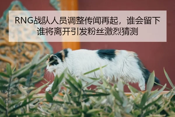 RNG战队人员调整传闻再起，谁会留下谁将离开引发粉丝激烈猜测